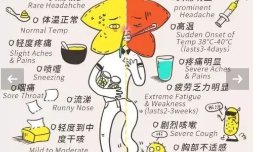 吃了蒜能喝中药吗-【吃了30个大蒜半】吃了三半蒜吃中药有影响吗女性 - 吃了三半蒜吃中药有影响吗网